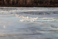 The descent of ice in the spring on the river in March is a natural phenomenon against the sky and clouds in the evening Royalty Free Stock Photo