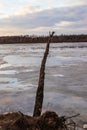 The descent of ice in the spring on the river in March is a natural phenomenon against the sky and clouds in the evening Royalty Free Stock Photo