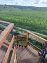 The landscape and natural beauty of the Ukrainian steppes during the lavender flowering period.