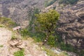 Descent to the hot spring in the Himalayas.