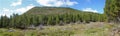 Deschutes National Forest Panorama