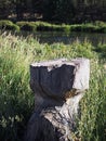 Deschutes River at Cline Falls