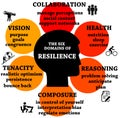 Resilience domains