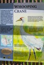 A description board pertaining the kind of bird in Aransas NWR, Texas