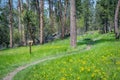 A description board for the trail in Devils Tower NM, Wyoming Royalty Free Stock Photo