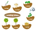 Description of planting steps