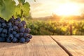 Rustic Tuscan Sunrise: Empty Wooden Table with Vineyard Backdrop Royalty Free Stock Photo