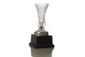 Trophy Royalty Free Stock Photo