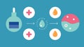 These descriptions can serve as a guide for creating vector illustrations that capture the essence of exosome and