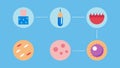 These descriptions can serve as inspiration for creating engaging and informative vector illustrations related to