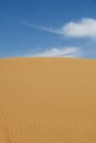 Desert Royalty Free Stock Photo