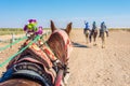 Desert activities in Tunisia Royalty Free Stock Photo