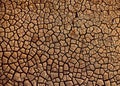 Desert. Aerial view of a beautiful cracks in the ground. texture, deep crack. Effects of heat and drought. effects of global Royalty Free Stock Photo