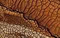 Desert. Aerial view of a beautiful cracks in the ground. texture, deep crack. Effects of heat and drought. effects of global Royalty Free Stock Photo