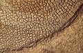 Desert. Aerial view of a beautiful cracks in the ground. texture, deep crack. Effects of heat and drought. effects of global Royalty Free Stock Photo