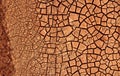 Desert. Aerial view of a beautiful cracks in the ground. texture, deep crack. Effects of heat and drought. effects of global