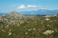 Desert of Agriates, Corsica Royalty Free Stock Photo