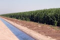 Desert Agriculture Farming Irrigation Canal Royalty Free Stock Photo