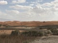 Desert Al Ain UAE Abu Dhabi Safari