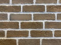 Desert with Alabaster Grout Brick Veneer Wall Panel Texture