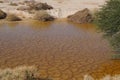 Desert Arava with puddles after rain Royalty Free Stock Photo