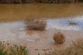 Desert Arava with puddles after rain Royalty Free Stock Photo