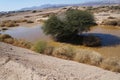 Desert Arava with puddles after t rain Royalty Free Stock Photo