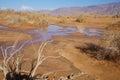 Desert Arava after the rain with puddles Royalty Free Stock Photo
