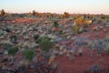 desert around yulara - central australia Royalty Free Stock Photo