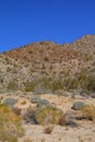 Desert of baja california I Royalty Free Stock Photo