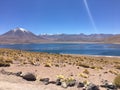 Desert of Atacama