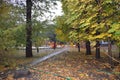 Road in autumn Park blank