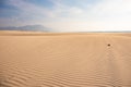 Desert Background Landscape with sand waves Royalty Free Stock Photo
