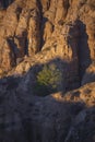 Desert Badlands Landscape Royalty Free Stock Photo