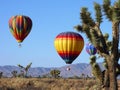 Desert Balloons Royalty Free Stock Photo