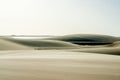 Desert Banks of the river of the Parnaiba River in Brazil Royalty Free Stock Photo