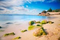 Lo scoglio beach in Cagliari. Desert beach with rocks covered with green slime in long exposure. Royalty Free Stock Photo