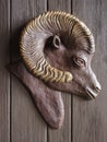 Desert Bighorn Sheep, door handle