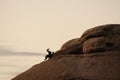 Desert Bighorn Sheep standing on a rock at Dawn Royalty Free Stock Photo