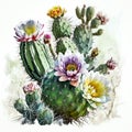 Desert Bloom: Cactus Flowers Watercolor Art Print AI Generated
