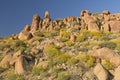 The Desert in Bloom in Spring Royalty Free Stock Photo