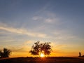 Desert blue sky Goodyear Arizona Royalty Free Stock Photo