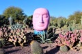 Desert Botanical Garden Phoenix Arizona Royalty Free Stock Photo