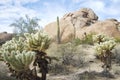 Desert buttes in Scottsdale, Arizona