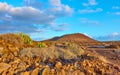 Desert with cacti and volcano at sunset inTenerife Royalty Free Stock Photo