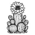 Desert cactus coloring page, outline cactus coloring page, realistic cactus coloring page