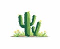 Desert Cactus flat illustration Royalty Free Stock Photo