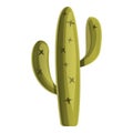 Desert cactus icon, cartoon style