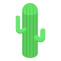 Desert cactus icon, isometric style