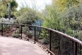 Desert Botanical Garden Phoenix, Arizona, United States Royalty Free Stock Photo